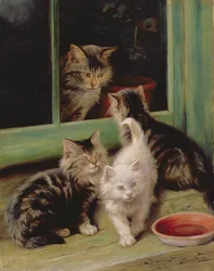 Kittens